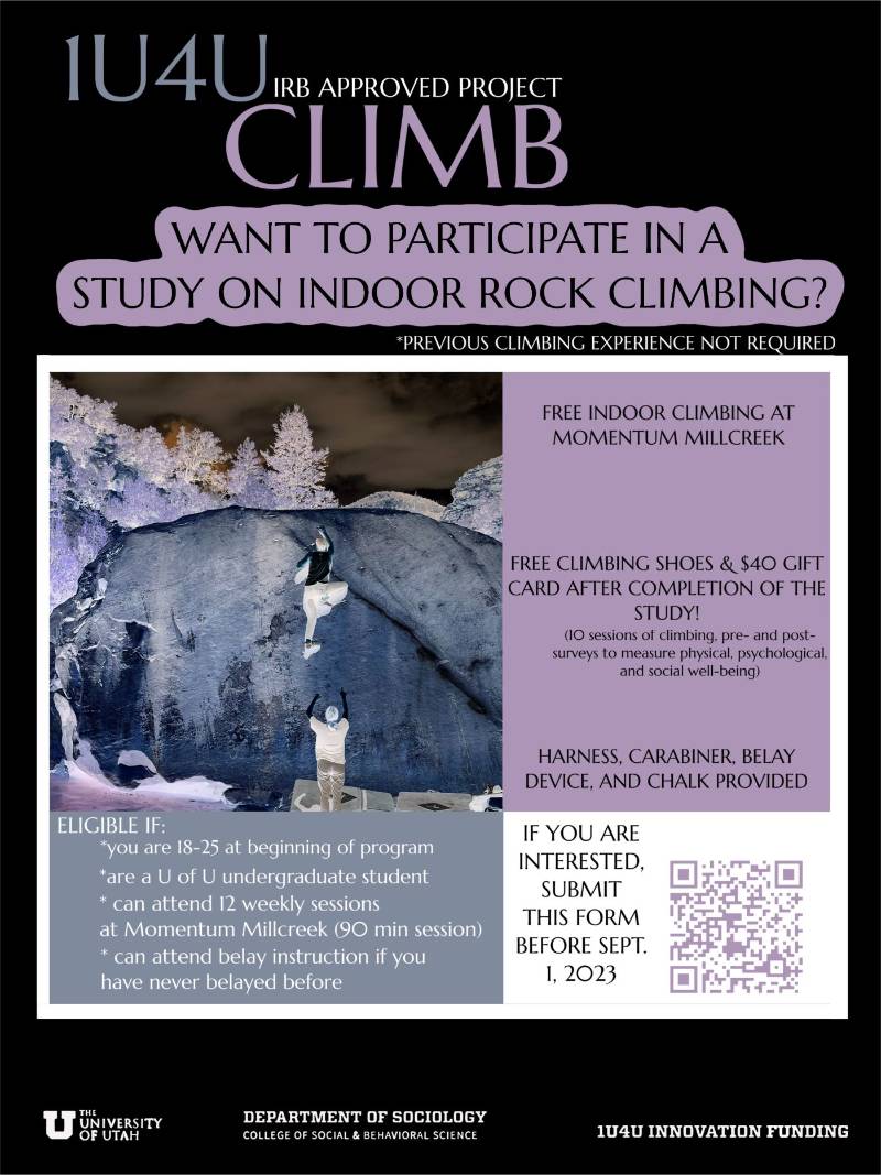 people rock climbing 